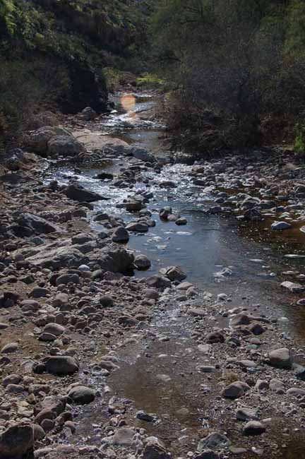 Queen Creek